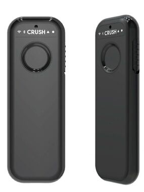 NWT CRUSH AI voice to note transcribing recorder